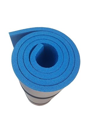 Evolite Proterm Playoff Light Mat